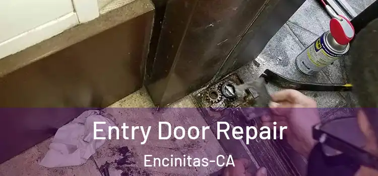  Entry Door Repair Encinitas-CA
