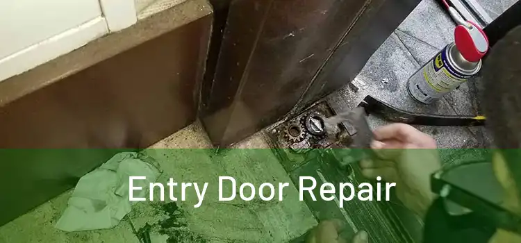 Entry Door Repair