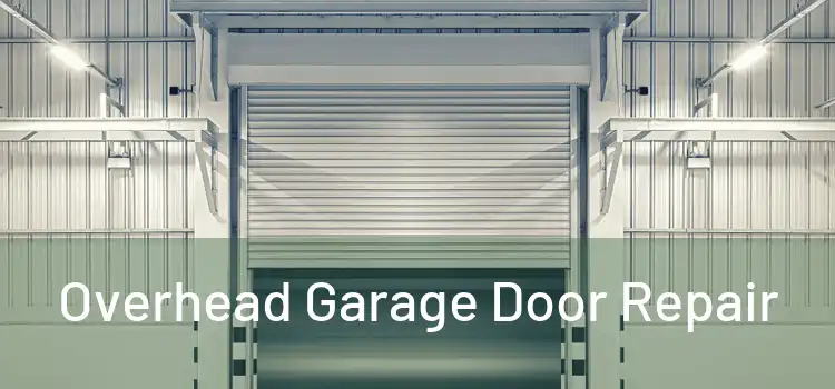  Overhead Garage Door Repair 